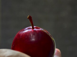 Wall Mural - red apple on a black background