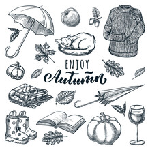 Autumn Design Elements. Vector Sketch Illustration. Umbrella, Sleeping Cat, Wine, Sweater, Pumpkin And Book Icons