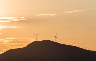 Canvas Print - View of wind turbines on the hill at sunset