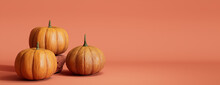 Contemporary Autumn Banner With A Collection Of Pumpkins On Salmon Pink Background.
