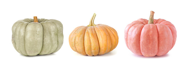 Poster - Fall pumpkins isolated on a white background. Assortment of green, orange and pink heirloom pumpkins. Blue doll, autumn frost and porcelain doll varieties.