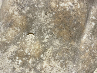 Poster - Old golden brick wall background or texture