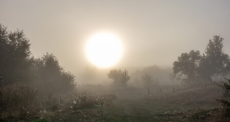 Wall Mural - Early autumn morning with sun and fog in the steppe.