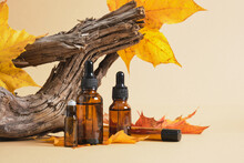 Amber Glass Dropper Bottle With A Dropper For Oil Or Serum And A Red Autumn Maple Leaf On A Beige Background