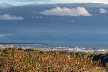 Wall Mural - Still day by Baltic sea.