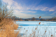 Winter Landscape, Frozen Pond On Which There Is Snow. There Are Trees And Grass Around The Pond.