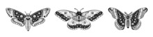 Moth Tattoo Set. Butterfly Vector Black Art. Universe Wing Moth. Celestial Occult Moon Sketch. Line Animal Drawing Design.