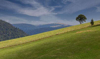 Poster - Paysage des Vosges