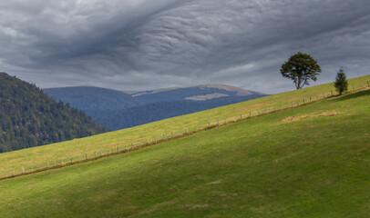 Poster - Paysage des Vosges