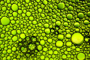 Poster - COLORED DROPS OF WATER ON THE GLASS. BACKGROUND FOR DESIGN