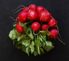 Wall Mural - Photography of a bunch of red radishes on slate background for food illustrations