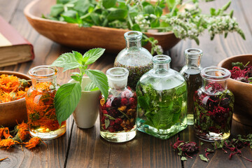 Wall Mural - Bottles of essential oil or infusion of herbs and berries - calendula, mint, heather, monarda bergamot, medicinal healing plants on background. Alternative medicine.