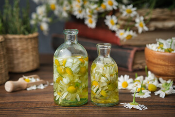 Wall Mural - Bottles of chamomile essential oil or infusion, plucked daisy flowers, old books, bunch of chamomile and bowl of daisy flowers on background. Alternative medicine.