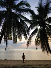 Wall Mural - Girl walks along the beach in a dress