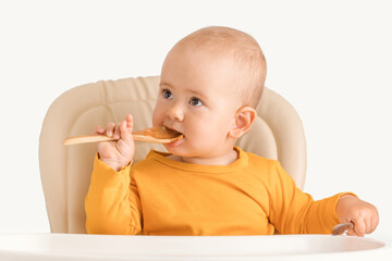 A one-year-old baby sits on a feeding chair and holds a wooden spoon in his hands, white background