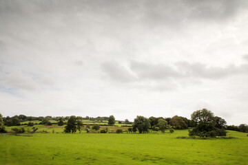 Wall Mural - Buckinghamshire countryside in the uk