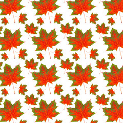 Wall Mural - pattern red maple leaf autumn isolation white background.