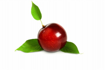 Wall Mural - juicy red ripe plum fruit with leaf isolated on white background with copy space