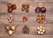 Flower bulbs of tulips, daffodils, hyacinths and other on wooden background, top view