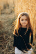 © Максим Галінский - pretty 3-year-old girl walks and poses for a photo in a wheat field at sunset