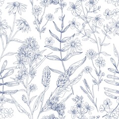 Aufkleber - Seamless botanical pattern with wild flowers. Outlined floral background with herbs. Endless repeating texture design. Engraved handdrawn herbal plant print. Hand-drawn detailed vector illustration