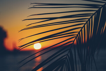 Canvas Print - Beautiful sunset view through palm tree leaves on the beach