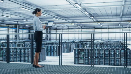 Poster - Data Center Engineer Using Laptop Computer. Server Farm Cloud Computing Specialist Facility with Multiethnic Female System Administrator Working with Data Protection Network for Cyber Security.