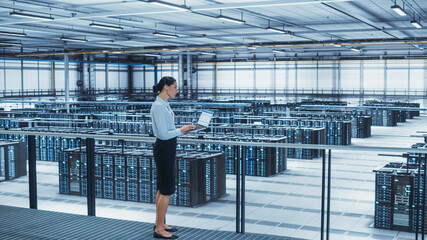 Poster - Data Center Engineer Using Laptop Computer. Server Farm Cloud Computing Specialist Facility with Multiethnic Female System Administrator Working with Data Protection Network for Cyber Security.