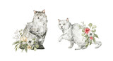 Fototapeta Koty - Watercolor with cute cats and winter foliage. white and gray cat, pine, leaves. Red Christmas flowers. Winter set with home pet. Cute domestic animals
