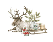 Watercolor Illustration With Reindeer, Christmas Pine Branch, Sleigh. Winter Aesthetic, Wild Animal, Present Boxes, Snowball. Holiday Decoration And Cute Forest Wild Animal.