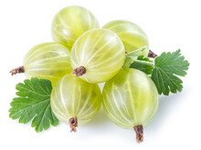 Green Ripe Gooseberries On White Background. Close-up.