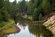 Little Forest River, With Rapid Flow, From Small Cold Sources, Flows In Natural Natural Environment Among Trees, Bushes, With Sandy Shores And Sandy Bottom.