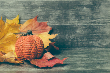 Wall Mural - autumn composition. pumpkin, dried leaves on pastel gray background. autumn, fall, halloween concept