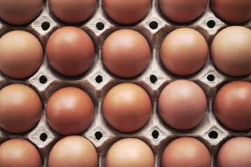 Wall Mural - fresh eggs in a basket concept healthy food, Indian organic eggs farm