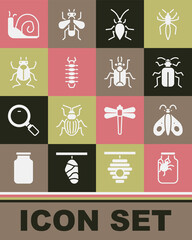 Wall Mural - Set Spider in jar, Butterfly, Chafer beetle, Cockroach, Centipede, Beetle bug, Snail and icon. Vector