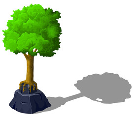 Wall Mural - 3d isometric tree growing on rock isolated on white background. Nice quality trunk with leaves and roots in cartoon style for game design and etc