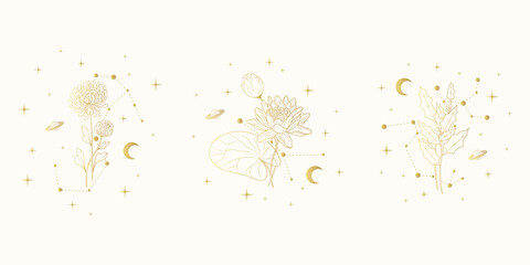 hand drawn golden set of celestial birth month flowers. three vector isolated spiritual plants, moon