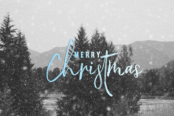 Sticker - Merry Christmas nature background with winter snow over north Idaho trees outdoors.