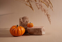 Autumn Background Podium Display With Pumpkins On Biege Background. Cosmetic, Beauty Product Promotion Autumn Pedestal With Shadows