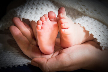 Wall Mural - Close-up shot of the soft toes of a newborn baby in his\her mother's hands