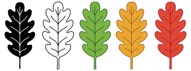 Wall Mural - Oak Leaf Clipart Set - Outline, Silhouette and Colored