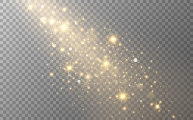 Poster - Shining gold particles. Christmas lights template. Magic bright trail. Glowing golden sparks and bokeh. Falling stars with gold dust. Vector illustration