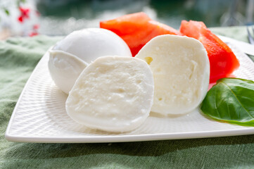 Wall Mural - Cheese collection, fresh Italian soft cheese mozzarella di bufal campana served with fresh basil and tomatoes