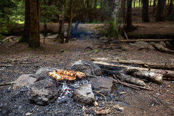 Poster - Meat cooking on a campfire in a forest