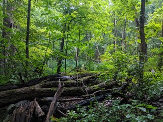 Appalachian Trail - Hudson Highlands, NY