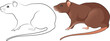 illustration of a mouse in color and black and white