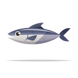Fototapeta Las - Fresh seafood fish vector isolated illustration