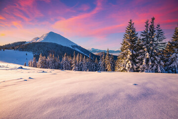 Sticker - Splendid sunset in the mountains on a frosty evening. Location place of Carpathian mountains, Ukraine, Europe. Picturesque wallpapers. Photo of winter vacation. Happy New Year! Beauty of earth.