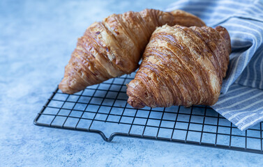 Wall Mural - Tasty crispy croissants, blue concrete background. Bakery for breakfast.