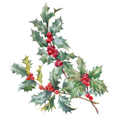 beautiful floral christmas illustration with hand drawn watercolor winter holly branches. stock 2022